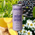 Jamun and Ginger - Mindful Soda